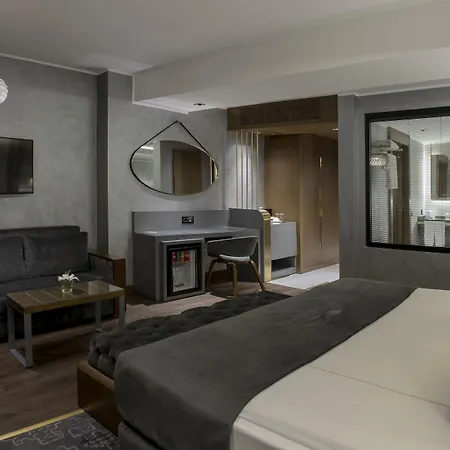 فمدق ذا وينغز إسطنبول 4*