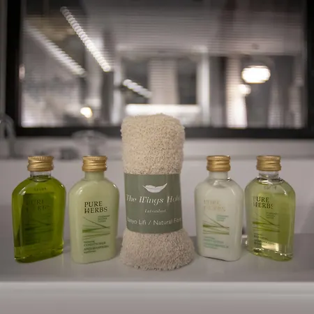 The Wings Karakoy فندق