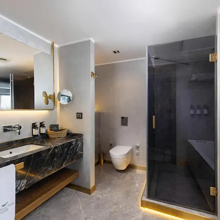 Hotel The Wings Karakoy Istanbul