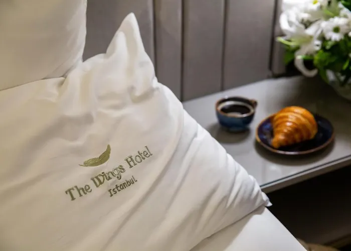 Hotel The Wings Karakoy