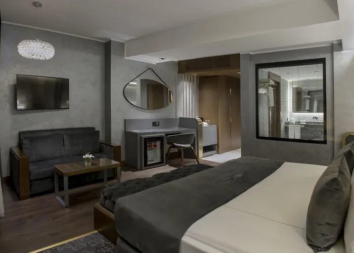 Hotel The Wings Karakoy