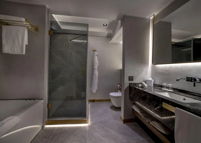 Hotel The Wings Karakoy