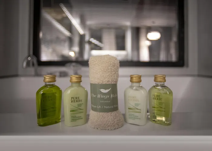 The Wings Karakoy Hotel