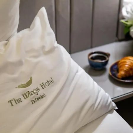Hotel The Wings Karakoy