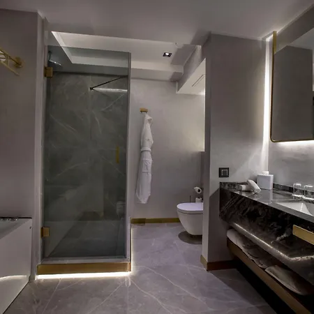 Hotel The Wings Karakoy