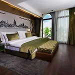 Hotel The Wings Karakoy 4*